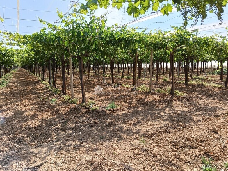 Terreno en La Romana, Alicante en venta - Foto del edificio - Imagen 1 de 6