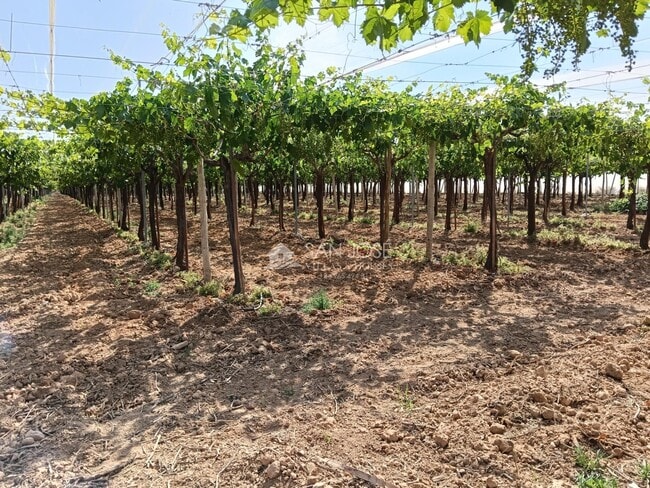 Más detalles de Terreno en venta