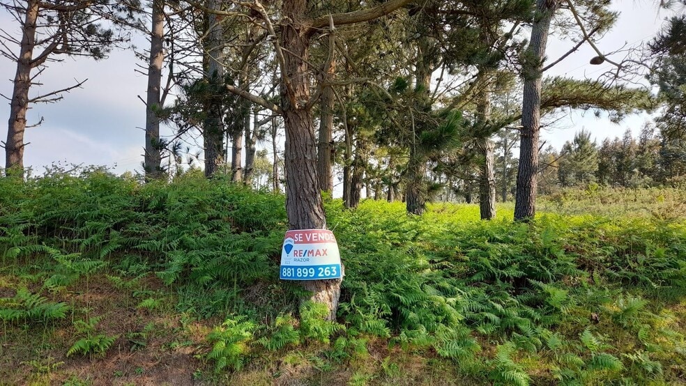 Lugar Val Arriba, 3, A Laracha, La Coruna en venta - Foto del edificio - Imagen 1 de 28