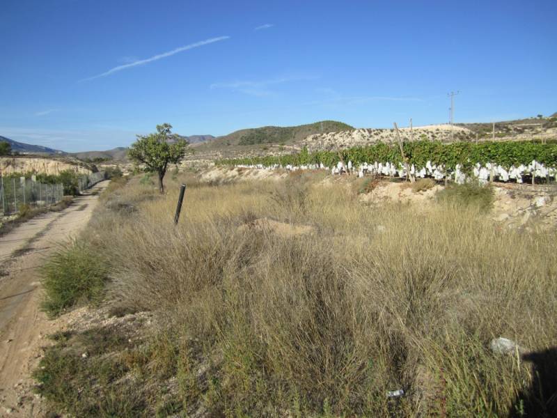 Terreno en La Romana, Alicante en venta Vista aérea- Imagen 1 de 5