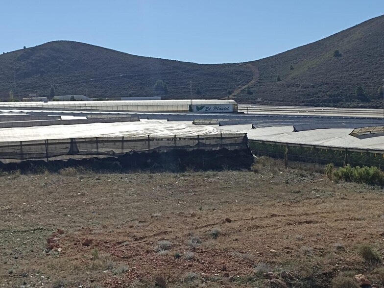 Terreno en Dalías en venta - Foto del edificio - Imagen 1 de 9