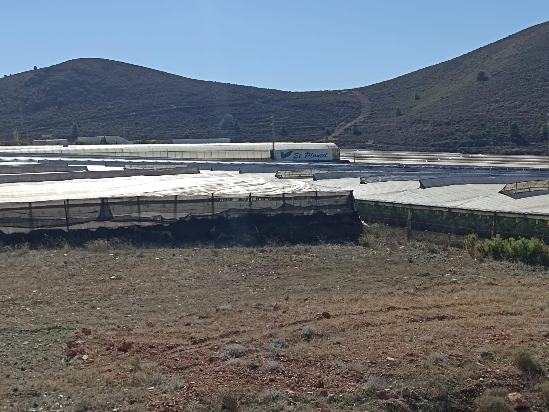 Terreno en Dalías en venta Foto del edificio- Imagen 1 de 10