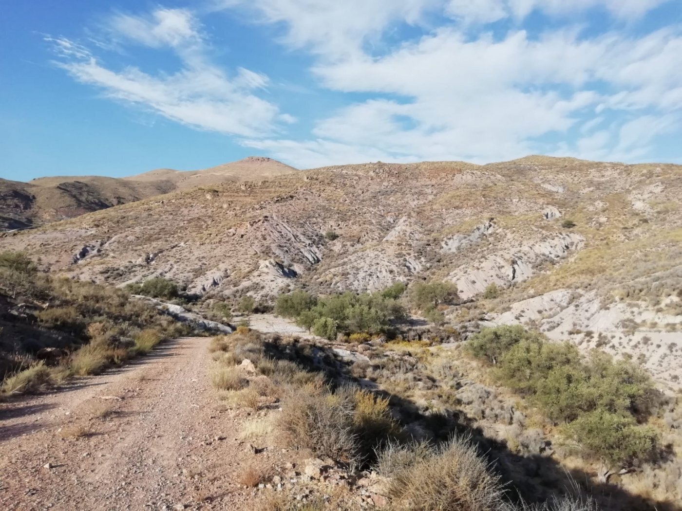 Terreno en Berja, Almería en venta Foto principal- Imagen 1 de 6