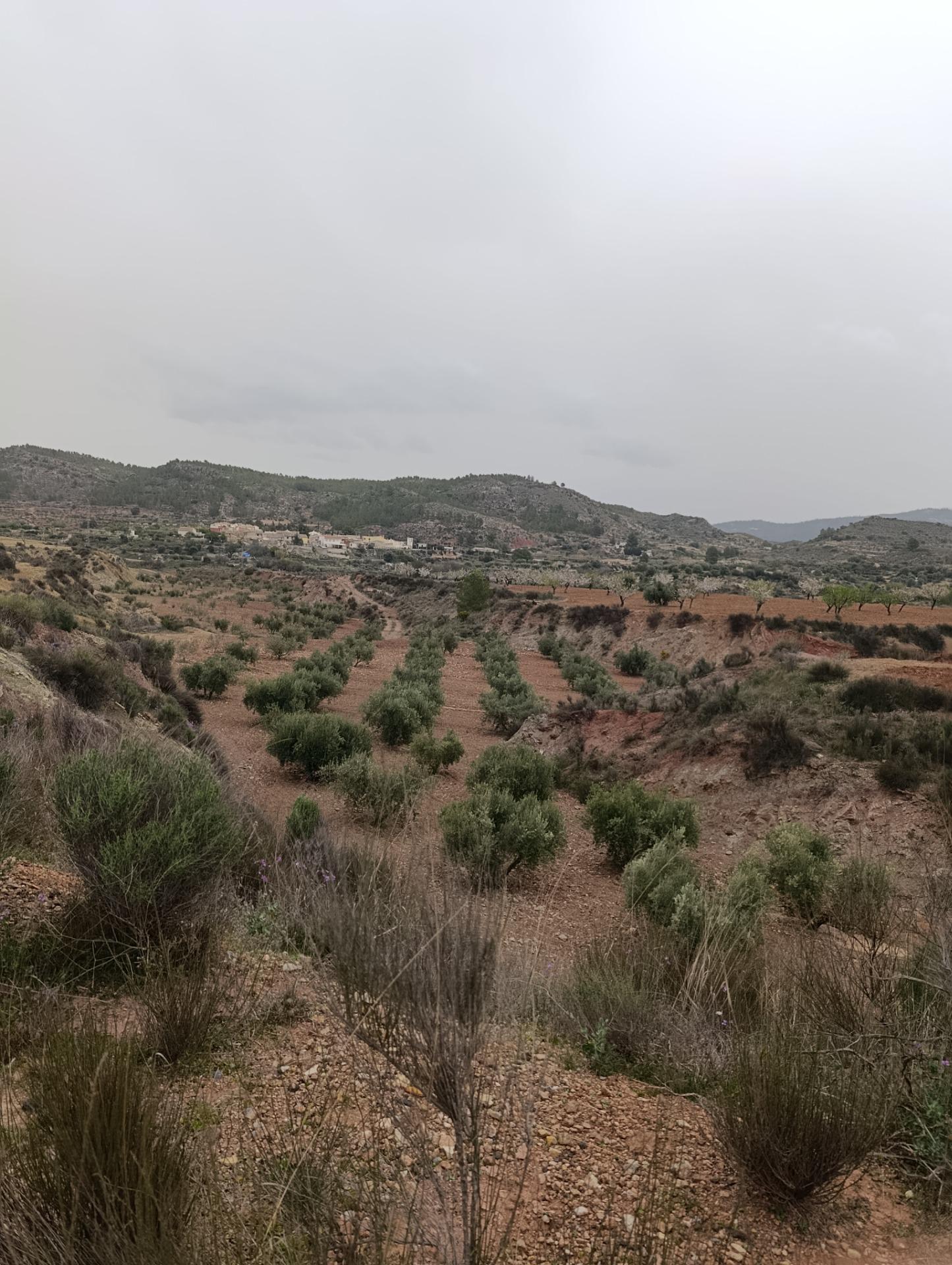 Terreno en Cehegín, Murcia en venta Vista aérea- Imagen 1 de 13
