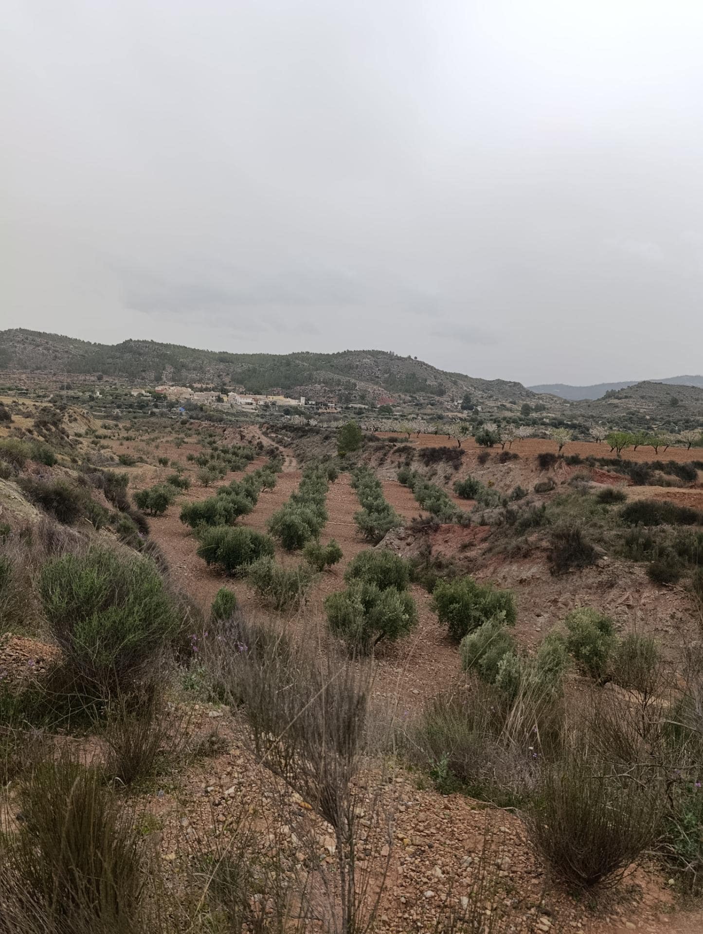 Terreno en Cehegín, Murcia en venta Vista aérea- Imagen 1 de 13