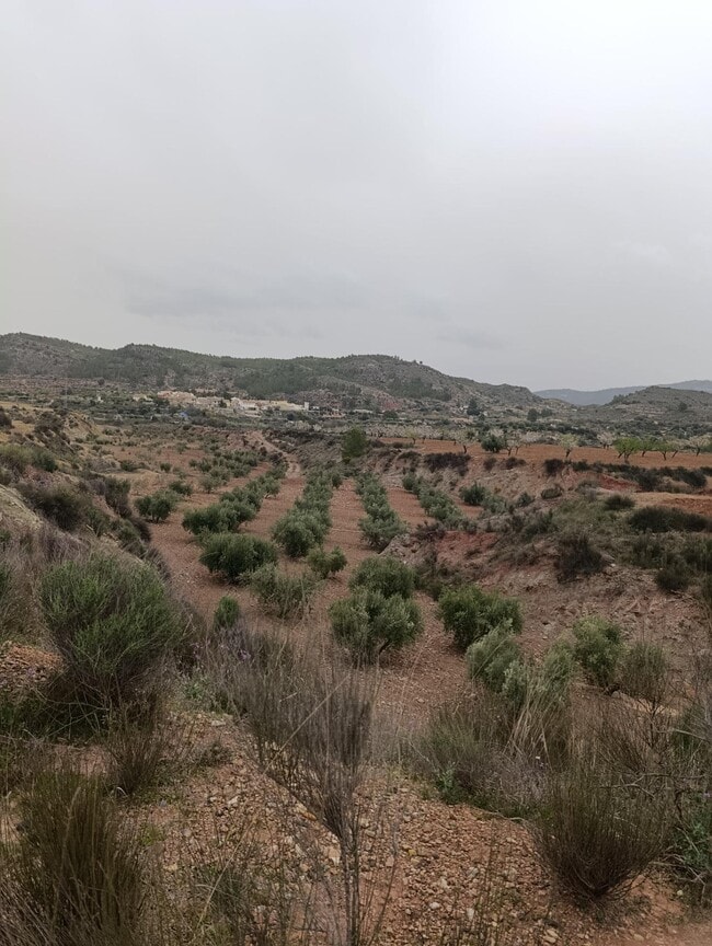 Más detalles de Terreno en venta