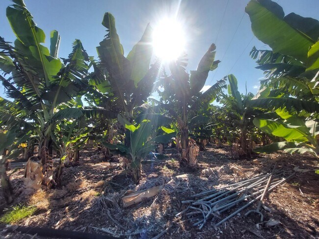 Más detalles de Terreno en venta