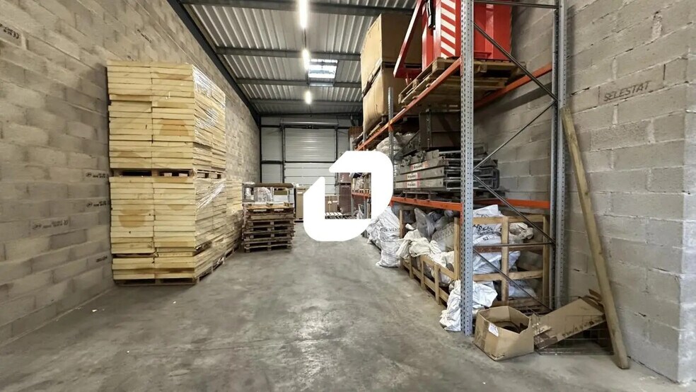 5 Rue Benjamin Silliman Jr., Reichstett en alquiler - Foto del edificio - Imagen 2 de 14