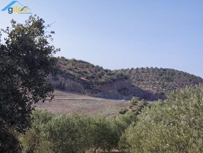 Dehesa, Morón de la Frontera, SEV - AÉREA  vista de mapa - Image1