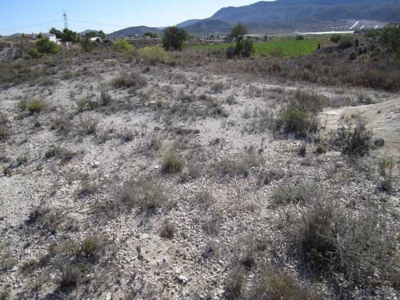 Local en HONDÓN DE LAS NIEVES en venta - Plano del sitio - Imagen 1 de 2