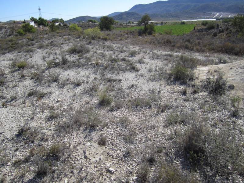 Terreno en HONDÓN DE LAS NIEVES, Alicante en venta Plano del sitio- Imagen 1 de 3