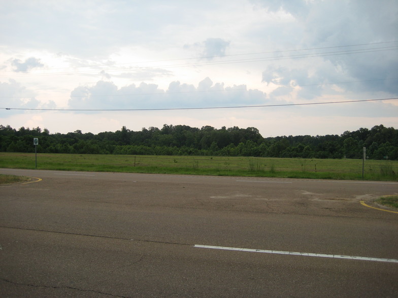 503 Hwy 61 N, Natchez, MS en venta - Foto principal - Imagen 1 de 2