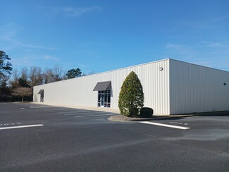 Más detalles para 301 Commerce Center Dr, Brunswick, GA - Naves en venta