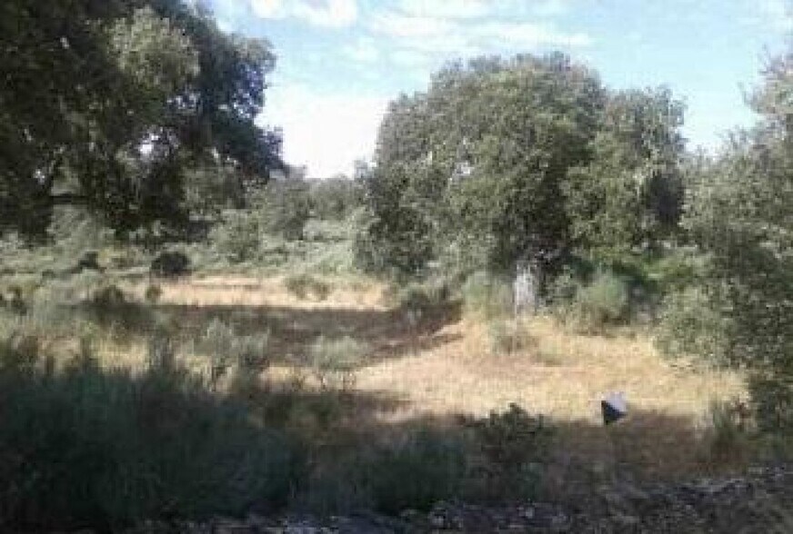 Terreno en Aldea del Obispo en venta - Foto del edificio - Imagen 1 de 2