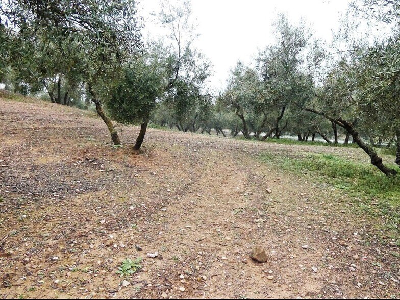 Terreno en Peligros, Granada en venta - Foto del edificio - Imagen 3 de 22