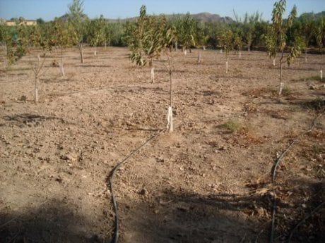 Terreno en Calasparra, Murcia en venta - Foto del edificio - Imagen 2 de 14