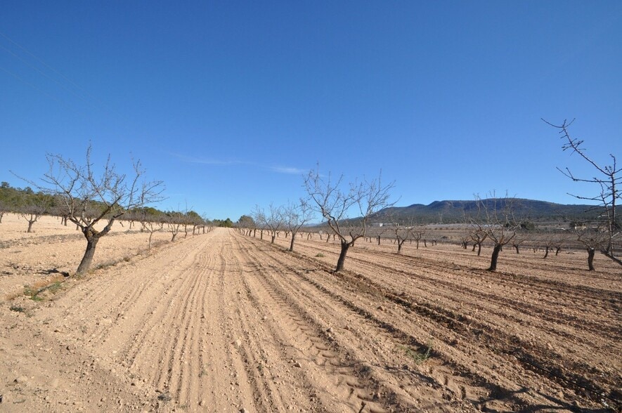 Terreno en MONÒVER, Alicante en venta - Foto principal - Imagen 3 de 9