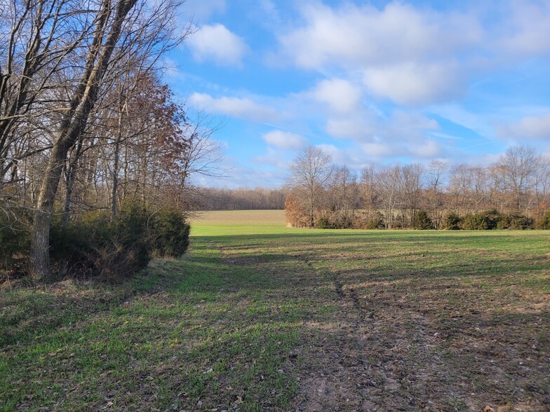 Bales Rd. (26.5+/- Acres), Middletown, MO en venta - Otros - Imagen 2 de 20