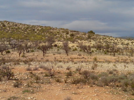 Terreno en Calasparra, Murcia en venta - Plano del sitio - Imagen 1 de 4