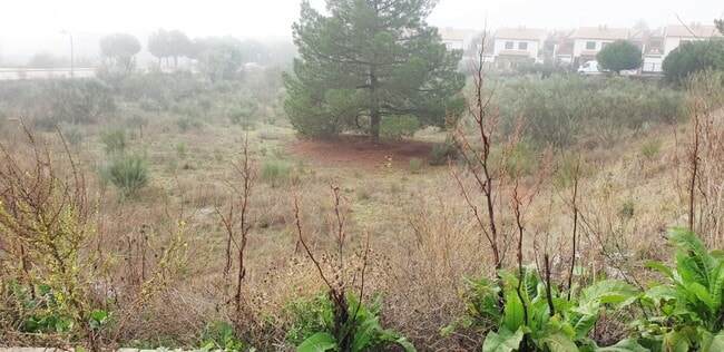 Más detalles de Terreno en venta