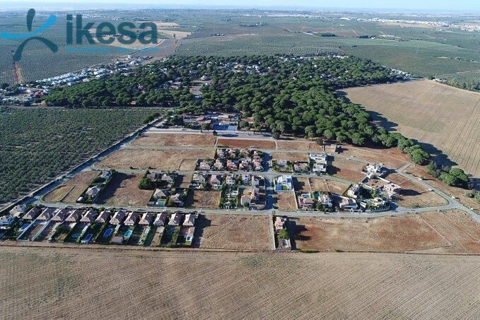Terreno en Bollullos de la Mitación en venta - Foto del edificio - Imagen 3 de 9