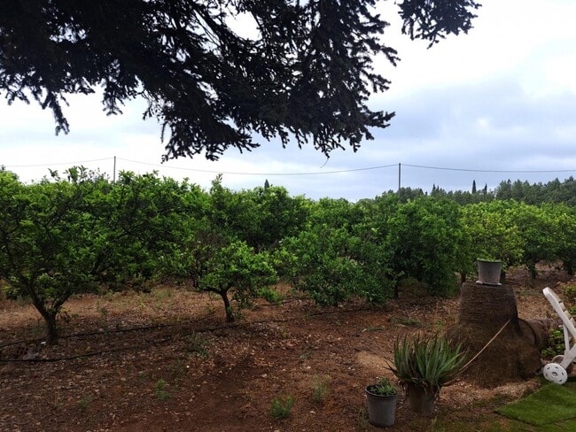 Más detalles de Carrer Devesa A, Vinaros, Costa Norte, 4, Vinaròs - Terreno en venta