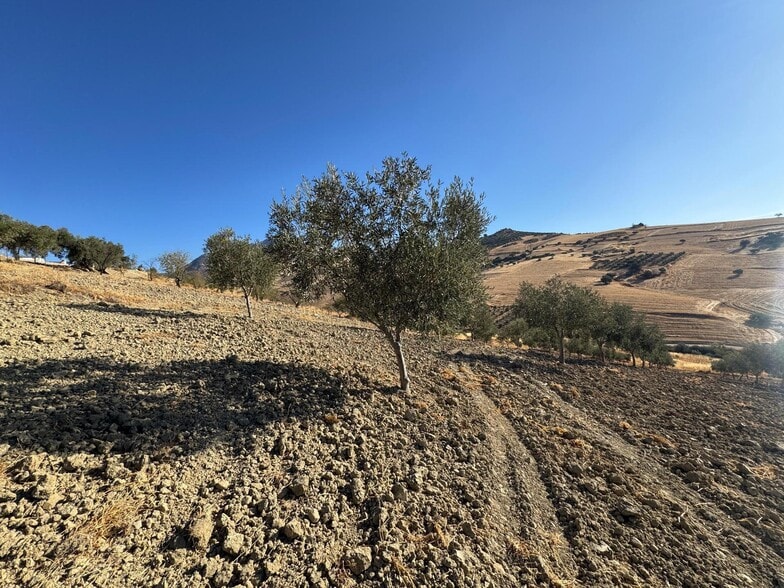 Terreno en Casabermeja, Málaga en venta - Plano del sitio - Imagen 2 de 13