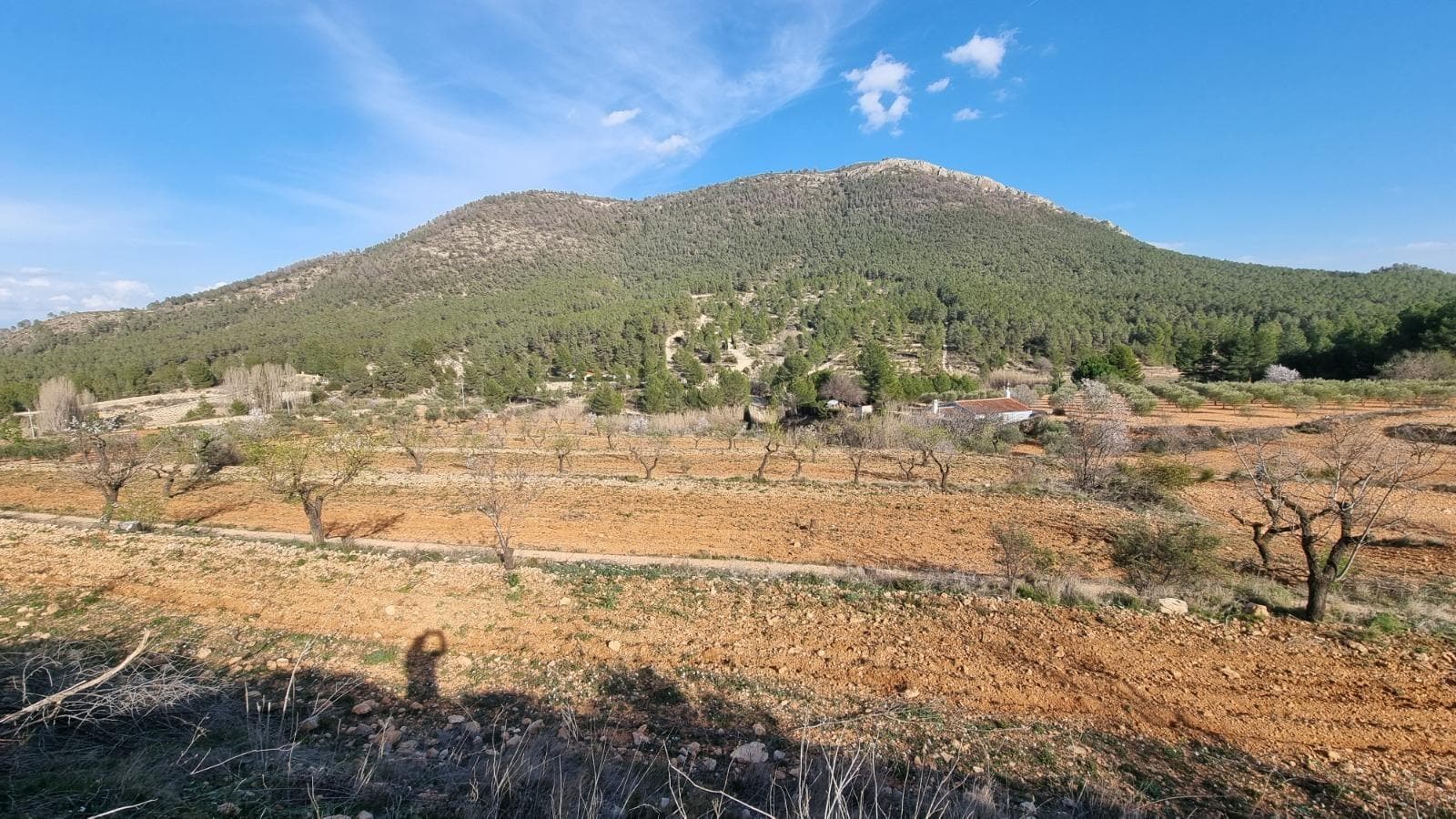 Polígono Industrial Marimingo, 16, Bullas, Murcia en venta Foto del edificio- Imagen 1 de 13