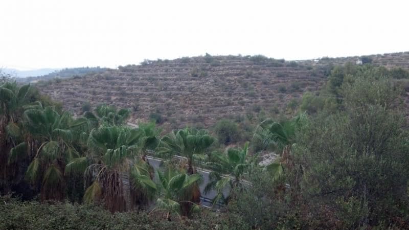 Terreno en Gandia, Valencia en venta - Vista aérea - Imagen 2 de 5