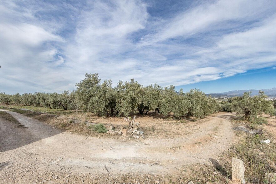 Pago de, Albolote, Granada en venta - Vista aérea - Imagen 2 de 12