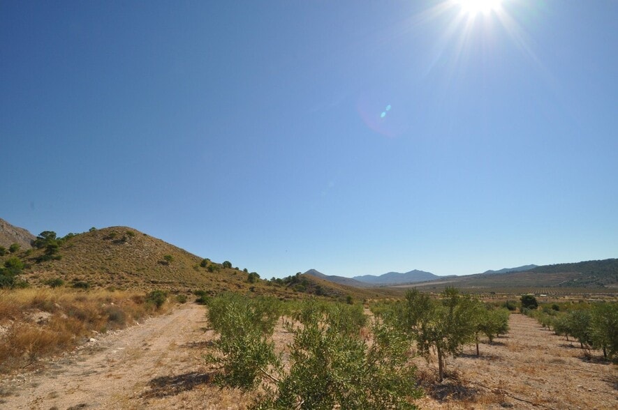Terreno en Abanilla en venta - Foto del edificio - Imagen 3 de 8