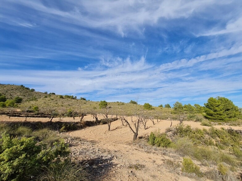 Terreno en Yecla, Murcia en venta - Vista aérea - Imagen 3 de 10