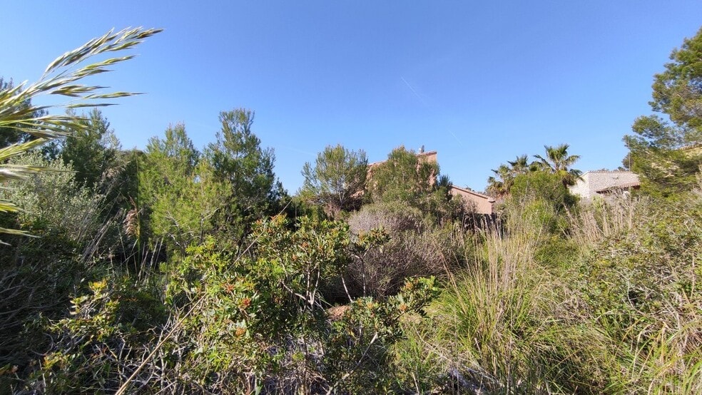 Terreno en Capdepera, Islas Baleares en venta - Foto principal - Imagen 3 de 26