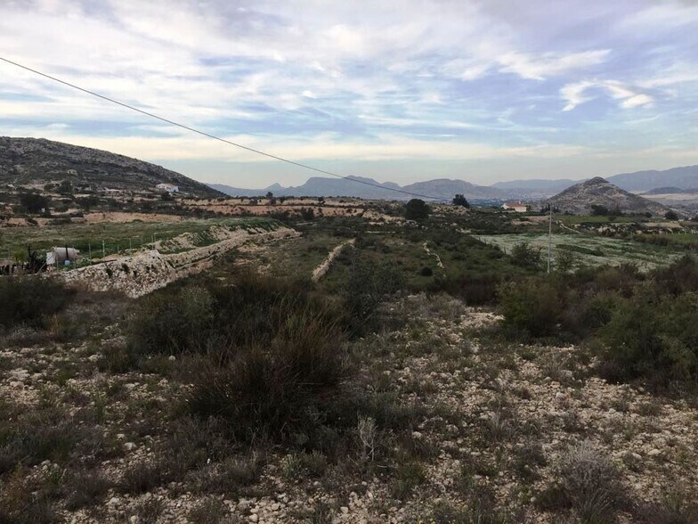 Terreno en Novelda, Alicante en venta - Vista aérea - Imagen 2 de 5