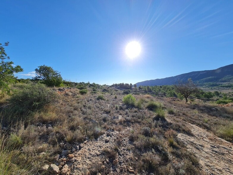 Terreno en La Romana, Alicante en venta - Vista aérea - Imagen 2 de 10