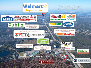 5610 Circa Fishhawk Blvd, Lithia, FL - VISTA AÉREA  vista de mapa