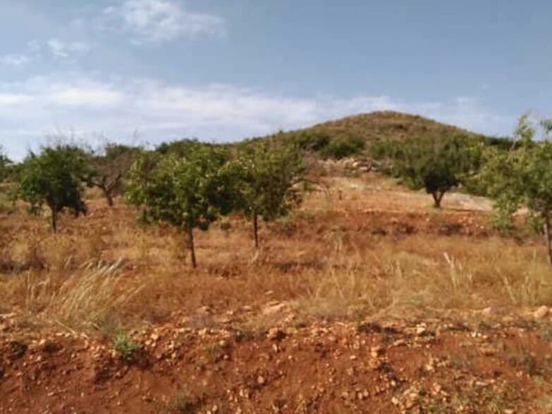 Paraje, Parcela 363, Cartagena, Murcia en venta - Foto principal - Imagen 3 de 10