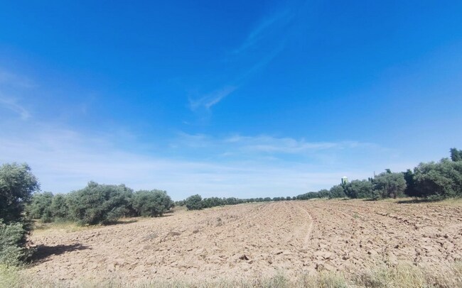 Más detalles de Terreno en venta