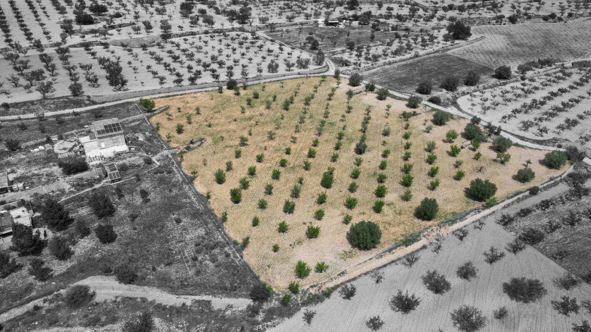 Terreno en La Romana en venta Foto del edificio- Imagen 1 de 17