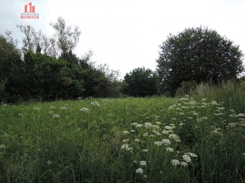 Terreno en Amoeiro, Orense en venta - Foto principal - Imagen 2 de 6