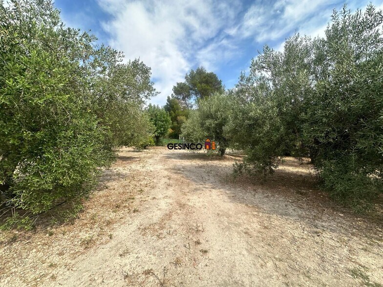 Terreno en Xàtiva, Valencia en venta - Foto del edificio - Imagen 2 de 10