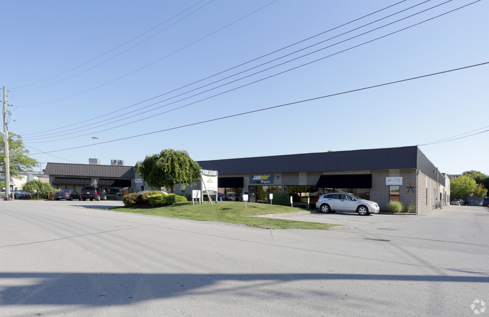 8 Hiscott St, St Catharines, ON en alquiler Foto principal- Imagen 1 de 8