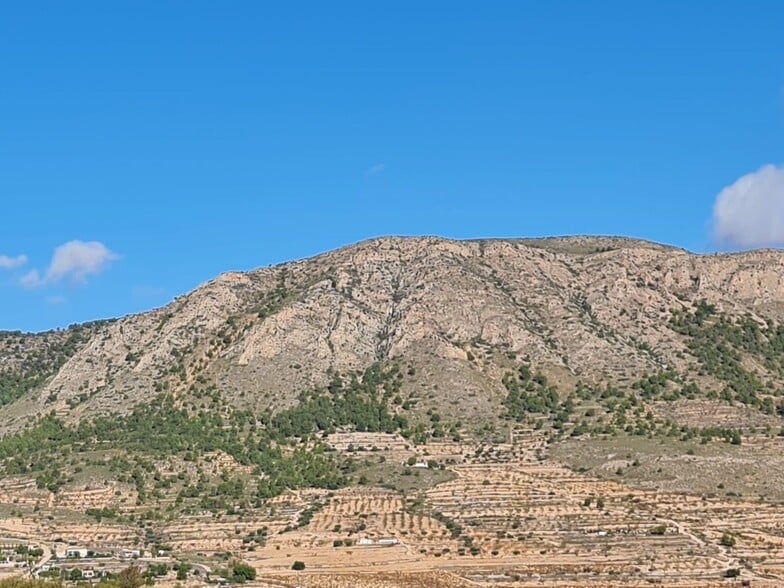 Terreno en La Romana, Alicante en venta - Vista aérea - Imagen 1 de 15