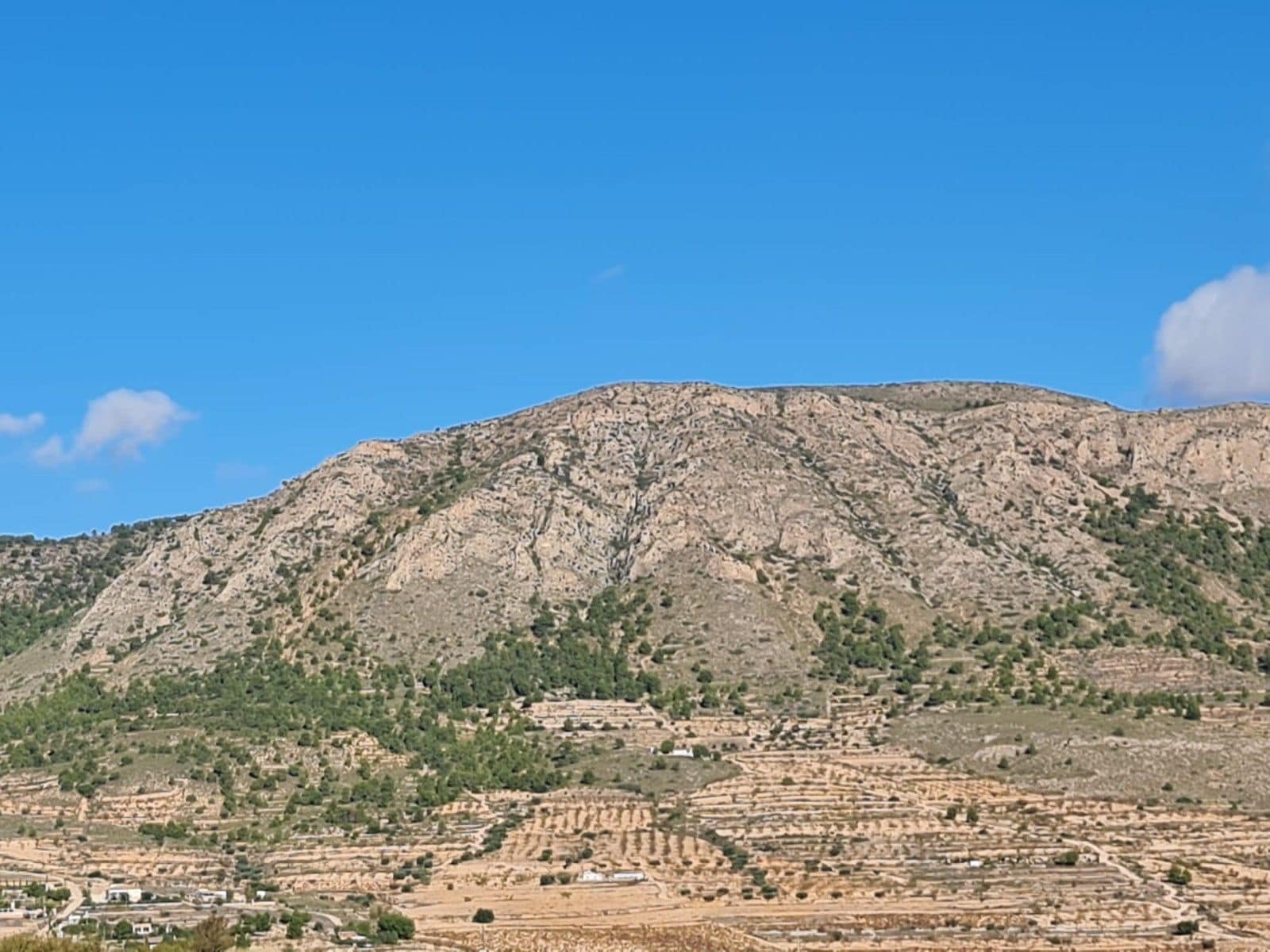 Terreno en La Romana, Alicante en venta Vista aérea- Imagen 1 de 16