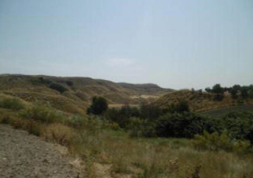 Polígono 8, 546, Driebes, Guadalajara en venta Otros- Imagen 1 de 3