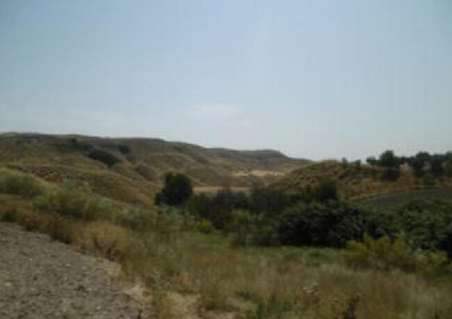 Más detalles de Polígono 8, 546, Driebes - Terreno en venta