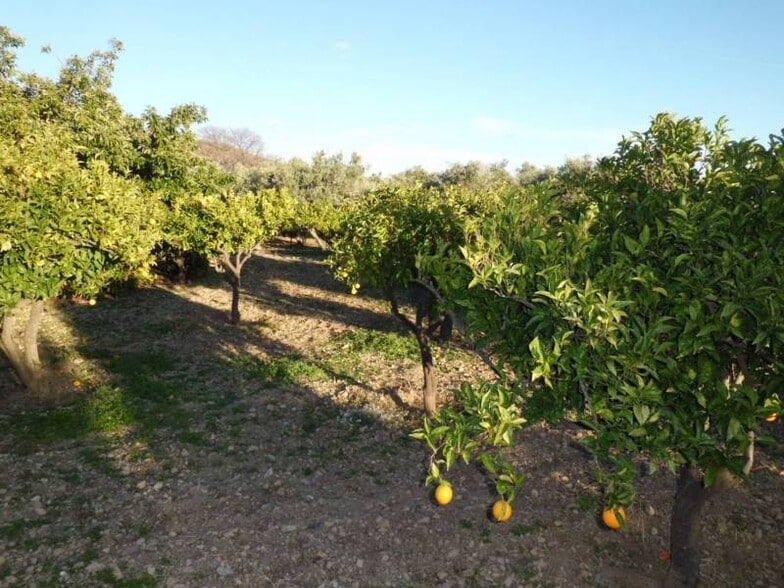 Terreno en Dalías en venta - Foto del edificio - Imagen 3 de 16