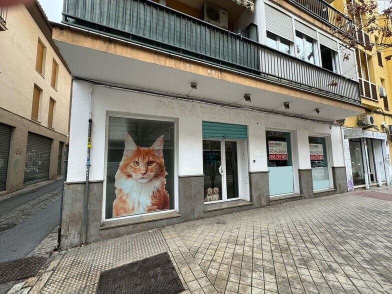 Local en Granada, Granada en alquiler - Foto del edificio - Imagen 1 de 12