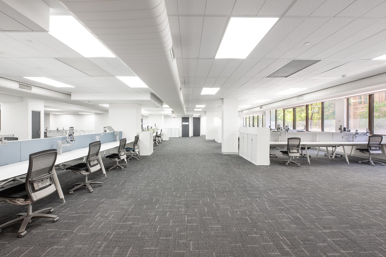 9A York St, Sydney en alquiler Foto del interior- Imagen 1 de 6