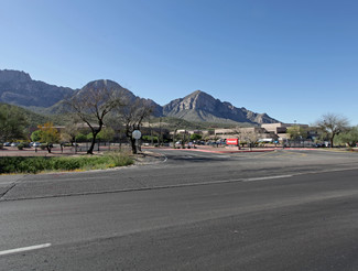 Más detalles para 11100 N Oracle Rd, Tucson, AZ - Oficinas en alquiler